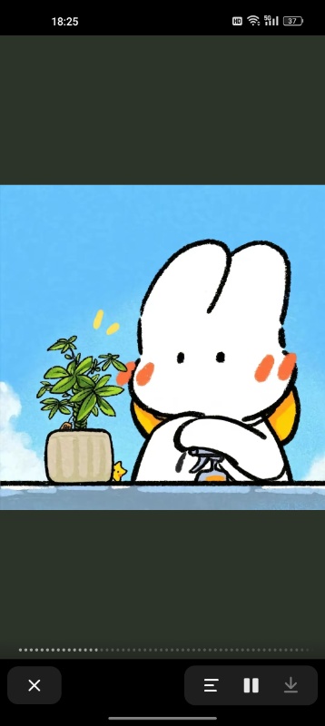科学,陪读,生物,地理,历史,政治,化学,物理,英语,数学,语文